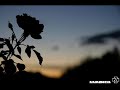 Stirb Nicht Vor Mir (Don\