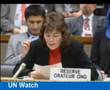 Silencing NGOs -- How Authoritarian Regimes Silence Dissent