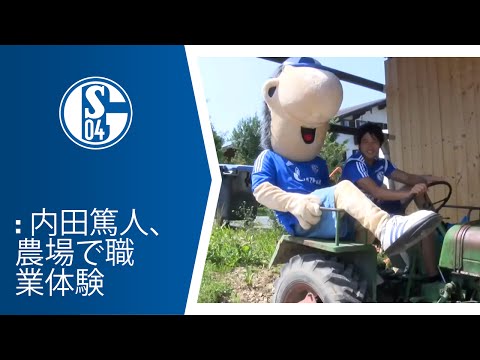 : 内田篤人、農場で職業体験