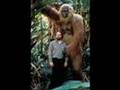 Assistir ao v�deo