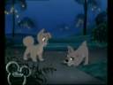lady and the tramp2; Right here right now lady and the tramp2; Right here right now