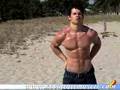 nick-AbsoluteMuscle-
