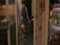 Harry Potter abuses Dobby (part 2) Harry Potter abuses Dobby (part 2)