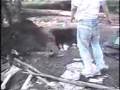 RFEW Backyard Wrestling Highlights 2