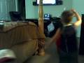videos de wazzzup 3