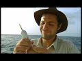 Ultimate Killers: Black Marlin - Formula One Fish?
