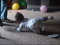 Kayden walking