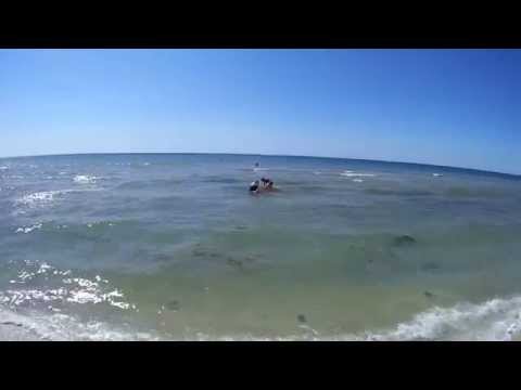 как ловить креветок в азовском море видео как искать креветок во азовском лавина видео