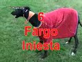el refujio