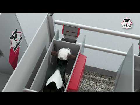 Video platshållarbild