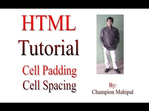 how to adjust html table column width