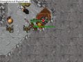 Tibia-Bot-Luring-Par