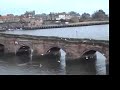 Shiny seals and shy otters at Berwick and Holy Island