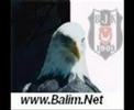 ÇAR?I_Fatih&Erkan Buyuk Macera_Part1 ÇAR?I_Fatih&Erkan Buyuk Macera_Part1