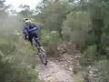Vigia Can Coll