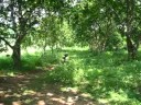 airsoft agila at camp malawak lamesa dam