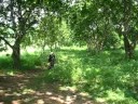 airsoft agila at camp malawak lamesa dam