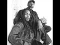 steel-pulse-stepping-out.html