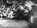 Click to View : Archivio Luce - Documentazione Cinematografica della Prima Guerra - Clip 4