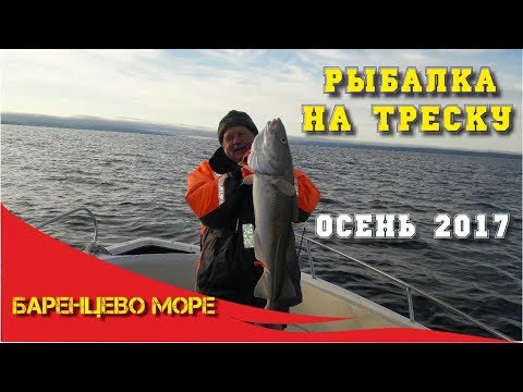 морская рыбалка на треску морская рыбалка на треску