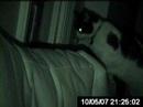 CatCam: FIGHT!