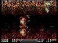 RAYXANBER III Stage2