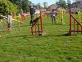 videos de Australe - Entraînement Agility 09/05
