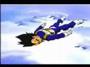 Vegeta Tribute