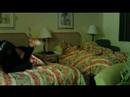 Trip To Tampa - The Hotel