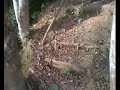 casa de floripaa , começa noo meu catinho casa de floripaa , começa noo meu catinho