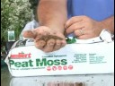 Gardening Tools & Accessories : Using Peat Moss in Gardening