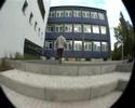 nolliewood skateboards add