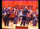 M.K.Saydam Vivaldi Bassoon Concerto a- minor (3)
