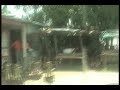 Navua