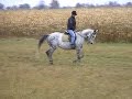 Polacken