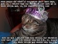 MOAR LOLCATS