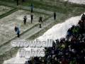 snowballs  seattle seahawks style