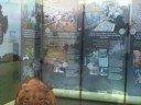 Exposició Europa ara fa un milió d'anys