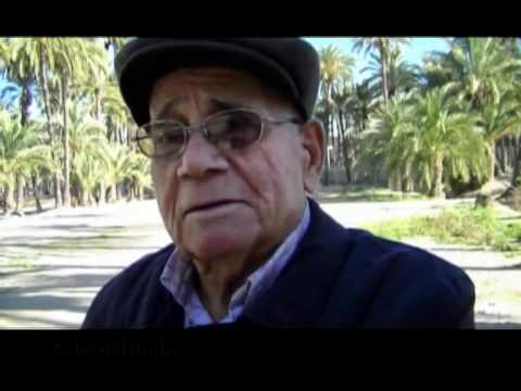 Imagen de previsualización de YouTube