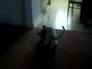 the epic battle of good vrs evil