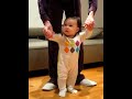 Zade's continued attempts at walking