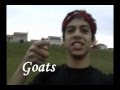 GoaTTits