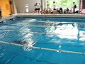 50m Espalda