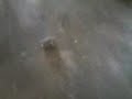 drift wuzek wid?owy:) drift wuzek wid?owy:)