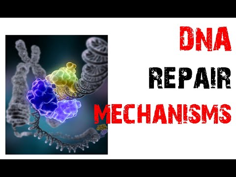 how to eliminate dna