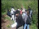 Auvergne
