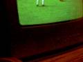 videos de beeest