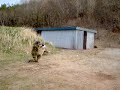 Shooting with AG-3