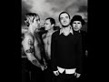Red Hot Chili Pepper Mix Of Stadium Arcadium (Jupiter)