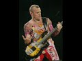 Red Hot Chili Pepper Mix Of Stadium Arcadium (Jupiter)